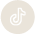 tiktok icon